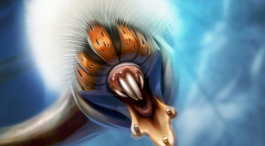 A close up of the head and neck of an animal.