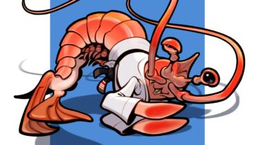 Shrimp